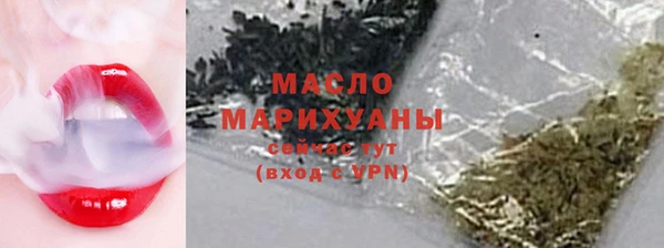 крисы Горняк