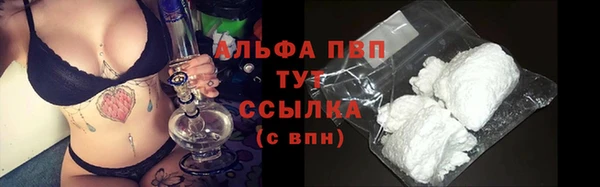 крисы Горняк