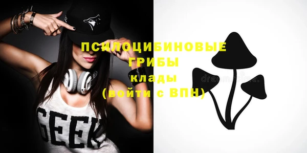 прущие крисы Горнозаводск