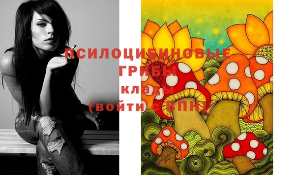 крисы Горняк