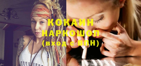 крисы Горняк