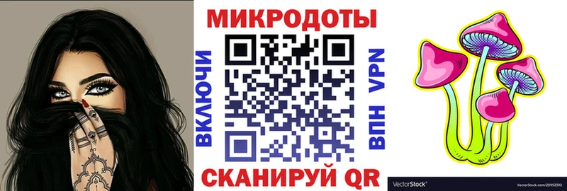 Купить закладки  Олонец  Галлюциногенные грибы мицелий 